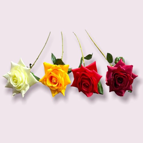 Petalo de rosa por mayor - Hogar por mayor